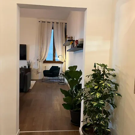Apartment Via Dei Pettinari